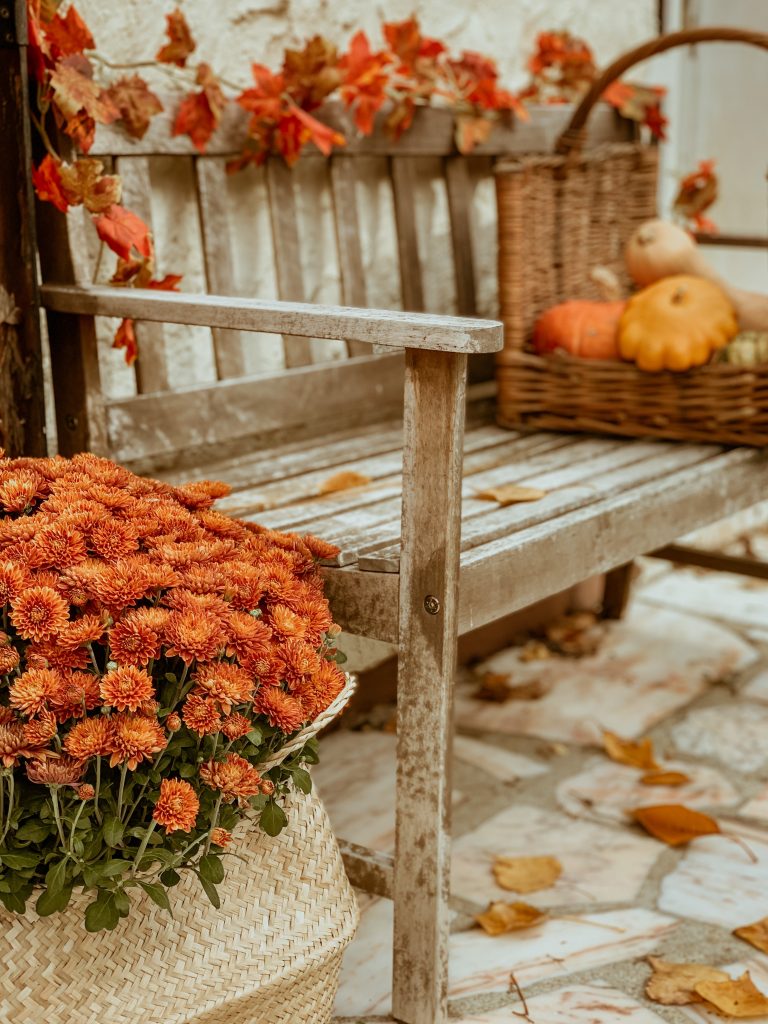 Ma bucket list d&rsquo;automne