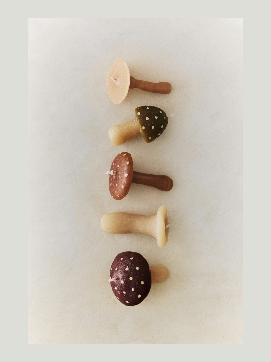 Cinq bougies champignon
